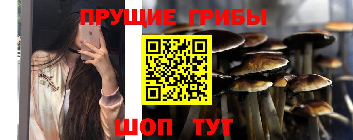 Псилоцибиновые грибы мицелий  Вход с VPN  Белгород  Галлюциногенные грибы прущие грибы 